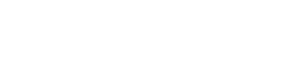 Televisia Media Services